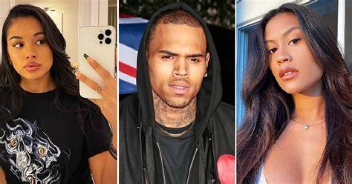 Chris Browns Baby Momma EXPOSED for BLACKFISHING! Real name and more