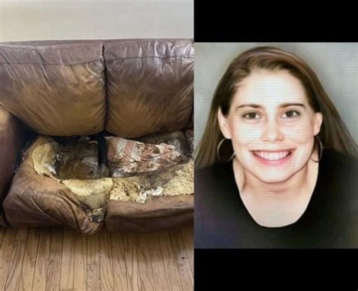 Discoveries And Insights Into "Woman 'Melted Into Couch' Photos"